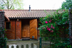 Sfeervol houten huisje met omheinde tuin op de Veluwe